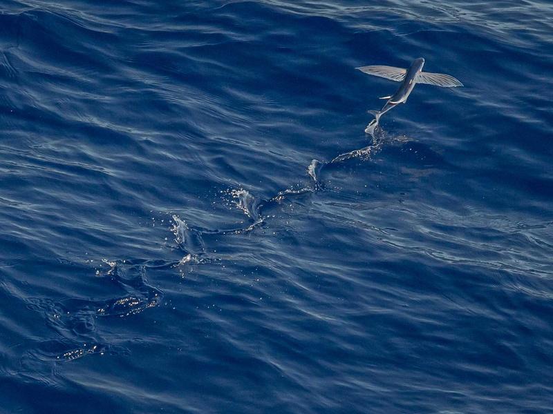 弥生会計小規模法人・中小企業の方これから起業される方