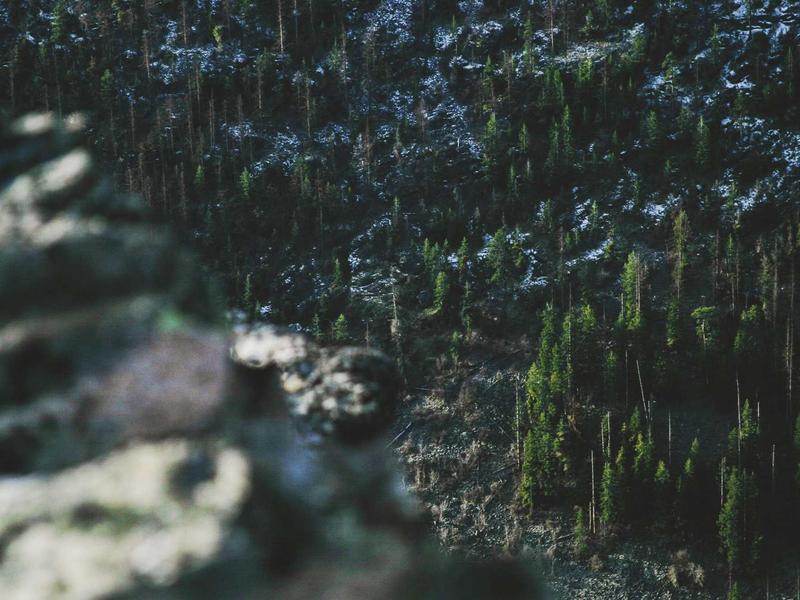 クラウドで業務をもっと、スムーズに